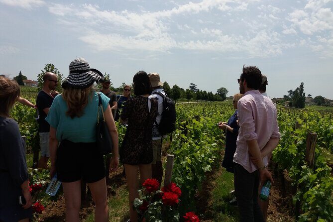 Saint Emilion Wine Tour Tasting Half Day from Bordeaux - Key things I’d circle before you go