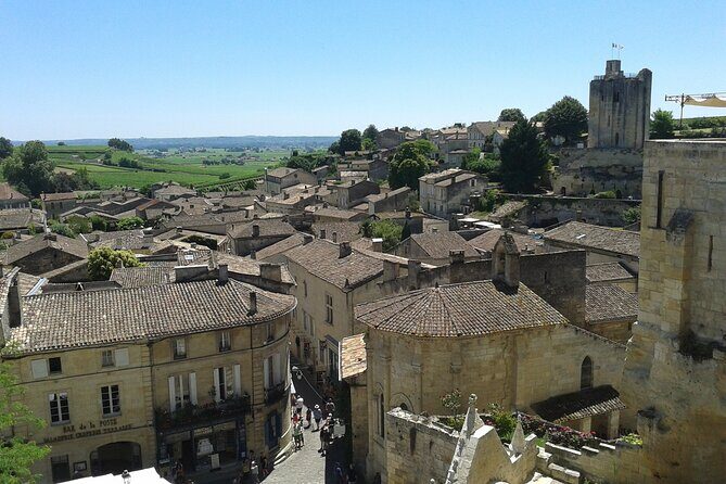 Saint Emilion Wine Tour Tasting Half Day from Bordeaux - Meeting Point and Transport: Minibus Comfort and the 10-Minute Rule