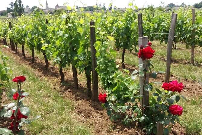 Saint Emilion Wine Tour Tasting Half Day from Bordeaux - Grand Cru Classé Winery Stop: Cellars, Technical Talk, and Real Sampling