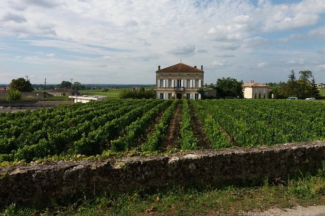 Saint Emilion Wine Tour Tasting Half Day from Bordeaux - Family-Run Estate: Organic Options and “How They Really Do It”