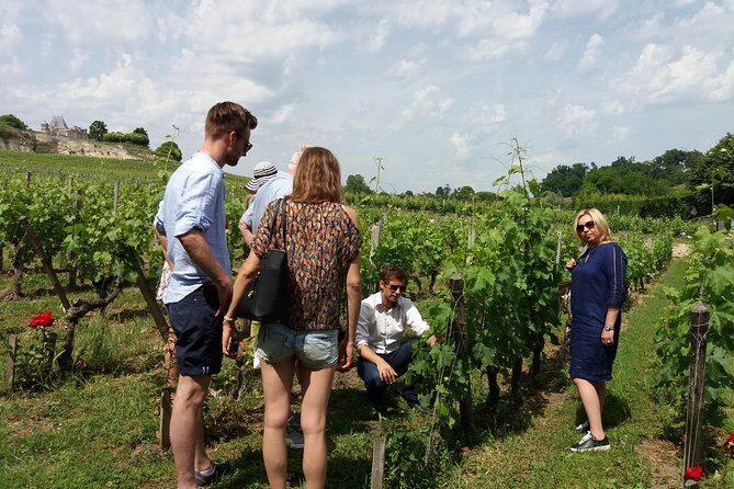 Saint Emilion Wine Tour Tasting Half Day from Bordeaux - What the Best Guides Do With Your Glass