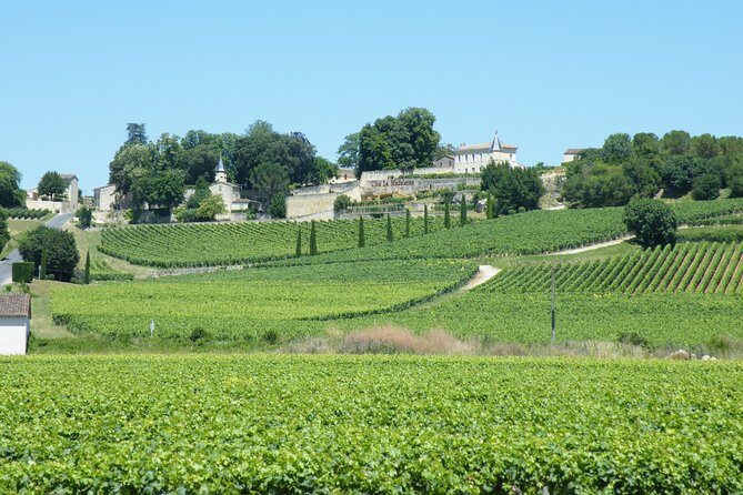 Saint Emilion Wine Tour Tasting Half Day from Bordeaux - On the Drive: Bordeaux Vineyard Basics in Plain English
