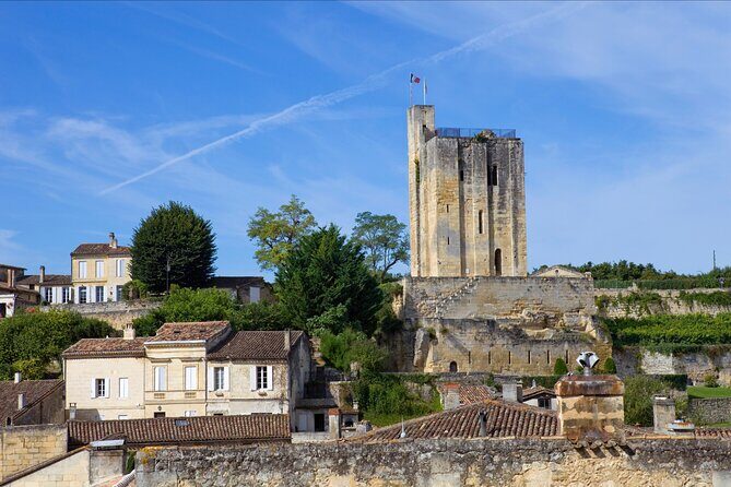 Saint-Émilion Wine Tour: Winery and Village - From Bordeaux to Saint-Émilion: Cité du Vin pickup and a short van ride