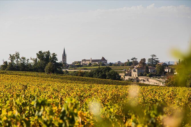 Saint-Émilion Wine Tour: Winery and Village - Timing that makes the half-day feel complete