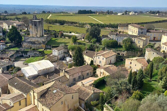 Saint-Émilion Wine Tour: Winery and Village - Who this tour fits best (and who should skip it)