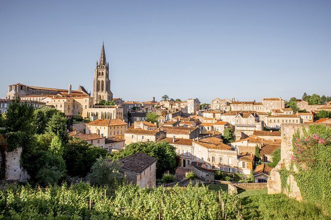Saint-Émilion Wine Tour: Winery and Village - Winery first: the organic estate stop, vats, barrels, and real winemaking talk