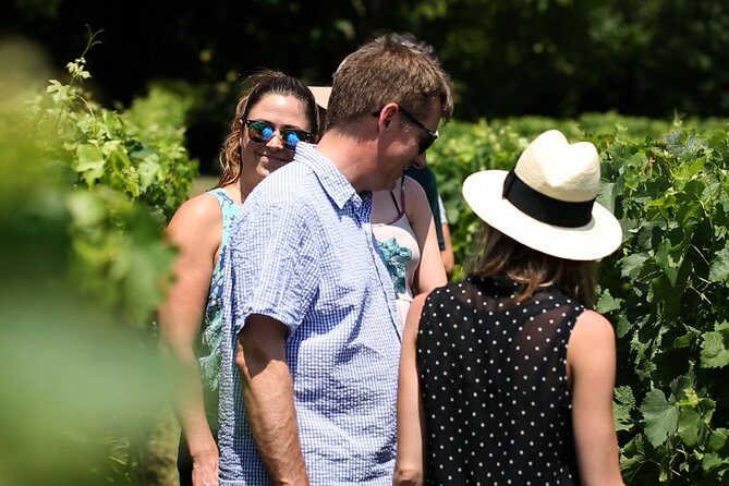 Saint-Emilion Winery Morning Tour with Local Guide - Should you book this tour?