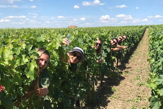 Saint-Emilion Winery Morning Tour with Local Guide - Walking Saint-Émilion like you actually mean it