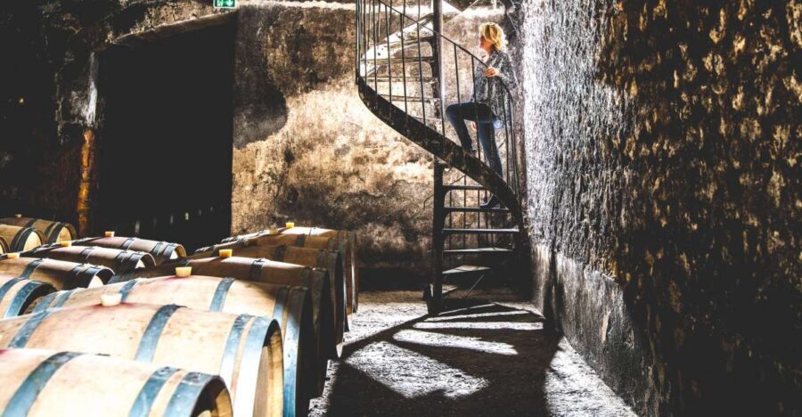 Taillan-Médoc: Château Visit and Wine Tasting in Bordeaux - Key things I’d underline before you go