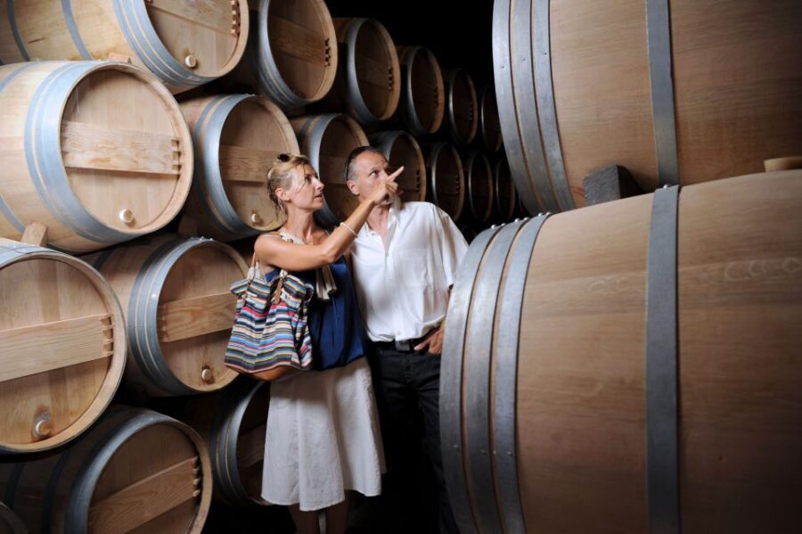 Taillan-Médoc: Château Visit and Wine Tasting in Bordeaux - Price and value: why $38 for a 1-hour château visit can make sense