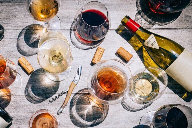 Tasting of Bordeaux red wines, wine and charcuterie pairings - Your hosts set the tone: Mathilde, Cécilia, and the focus on your questions