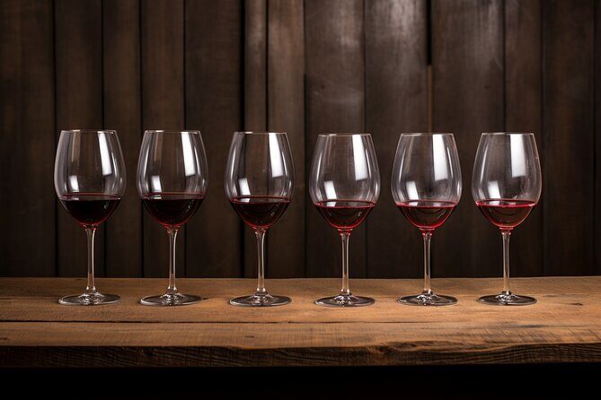 Unusual wine tasting in DARWIN (Bordeaux)! - Key highlights you should care about