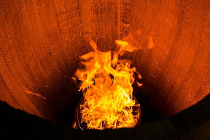 Unusual wine tasting in DARWIN (Bordeaux)! - Why cooperage changes what you taste in Bordeaux