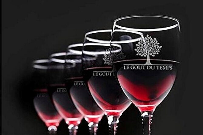 Unusual wine tasting in DARWIN (Bordeaux)! - La Micro Winerie meeting point: what to expect at check-in