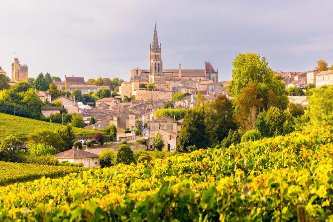Visit Saint-Emilion and Pomerol:Vineyards, lunch and tastings included - Vineyard stop and tasting: see the process, taste it too