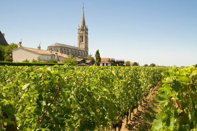 Visit Saint-Emilion and Pomerol:Vineyards, lunch and tastings included - Picnic at the château: lunch included, cellar details can vary