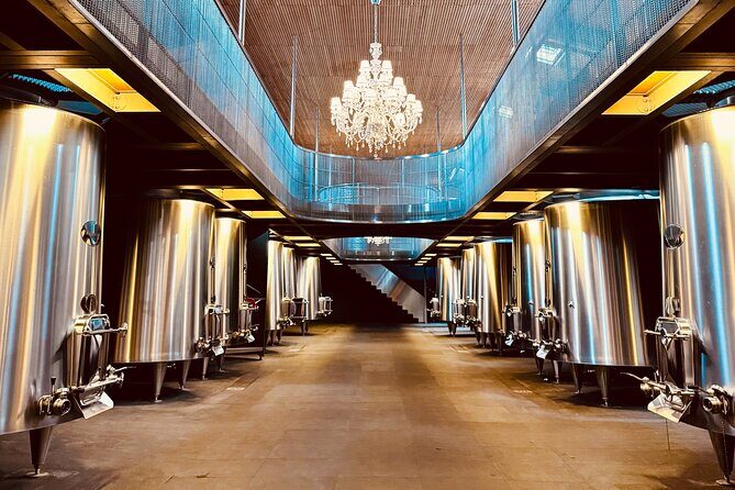 Visit Saint-Emilion and Pomerol:Vineyards, lunch and tastings included - Pomerol finish: a full winery visit and tasting