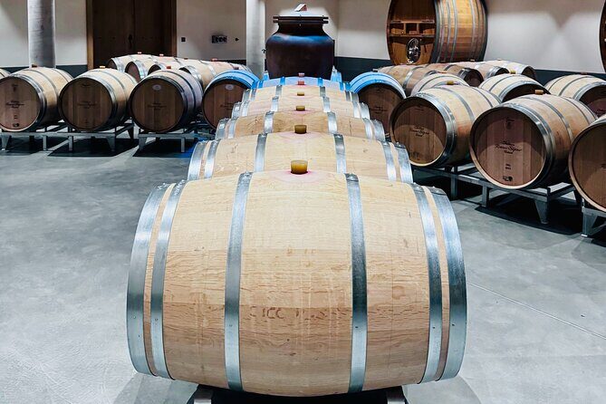 Visit Saint-Emilion and Pomerol:Vineyards, lunch and tastings included - Price and value: what $174.53 includes (and why it matters)