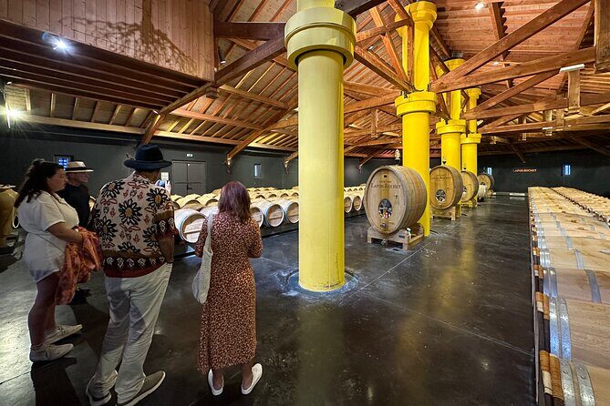 Visits and Tastings in the Médoc in Small Group with Meal - The guide makes or breaks the day: Catherine, Hugo, and the value of real explanations