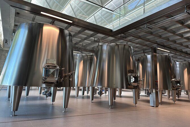 Visits and Tastings in the Médoc in Small Group with Meal - Price and value: is $297.85 worth it?